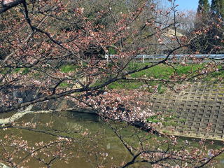 廣田かね子様専用　ハンドメイド小銭入れ・小物入れ　まとめ買い注文品 NUTS : NEW ARRIVAL